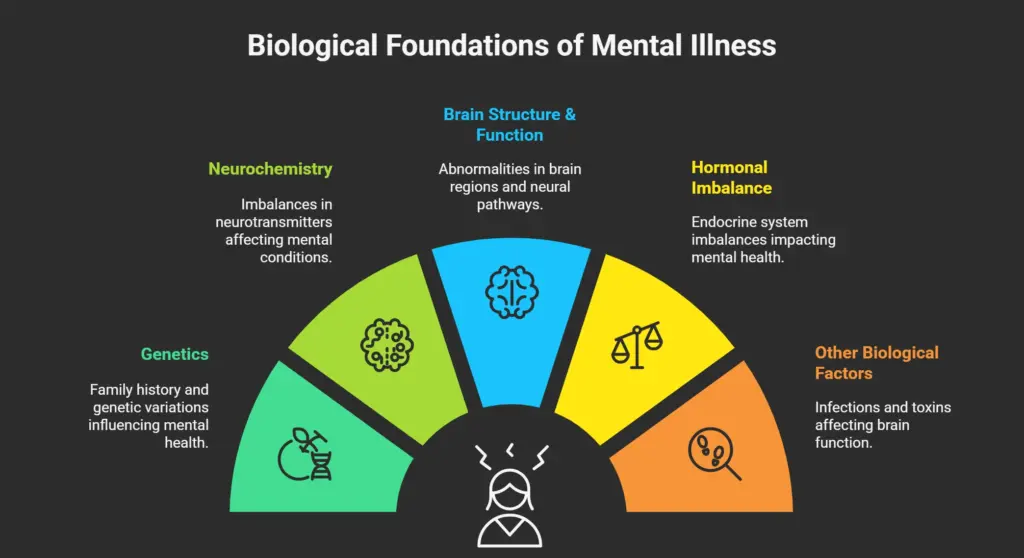 Causes of Mental Illness