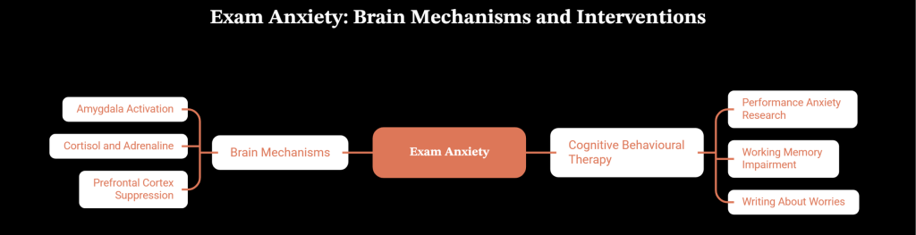 what is exam anxiety?