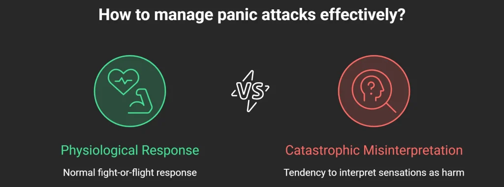 what is panic attack is??